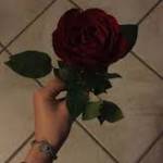 akash62346 Profile Picture
